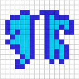 Elyterka