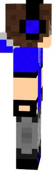 niv 2016