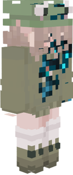 skin lichen