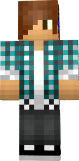 skin minecraft 