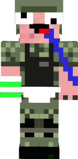 dumd pig army