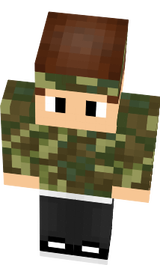 armystistko
