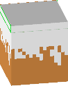 Snowed grass block