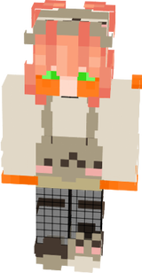 Duck Koala MSP