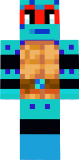 turtle2000