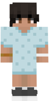 psih23