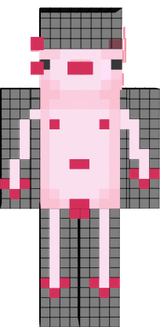 Axolotl