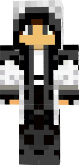 assassin grey