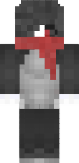 Just_Plays_MC