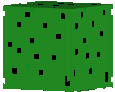 Cacto