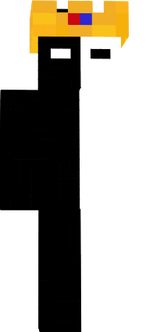 skin minecr