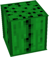 cacti