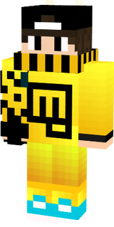 skin principal