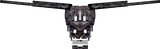 glowing dragon