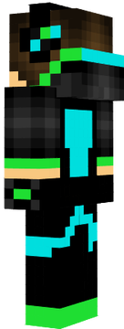 skin