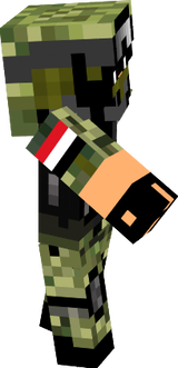 شيش