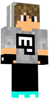 skul XD