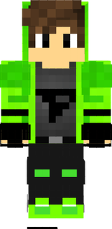 skin