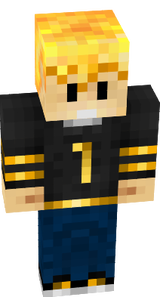 Ron Skin