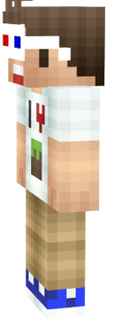 SuperDSi