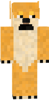 doge
