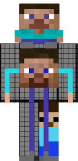 Steves