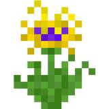 the sundrop