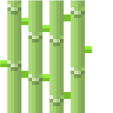 sugar_cane