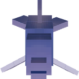 delphin