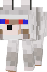 3D            DOG