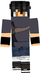 Ninja Guy