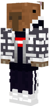 skin 4