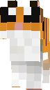 Cat Tiger