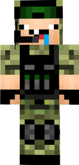 militar burrp