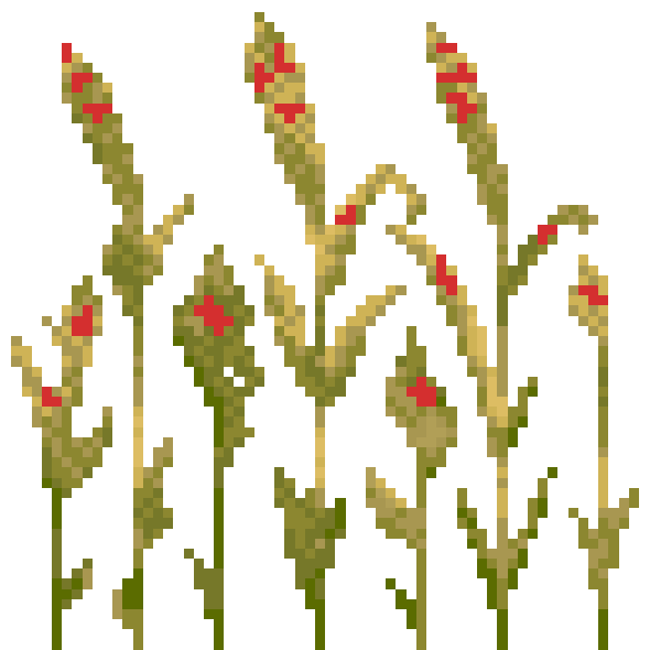 Preview of texture: wheat_stage7