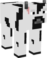 Holstein Cow