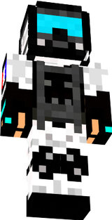zwonk