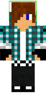 skin