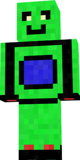 skin