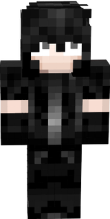 Aerosik2