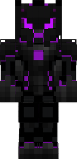 experie1