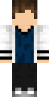 SKIN PARA TEMPLATE