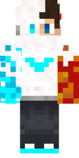 GuixD_