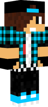 Skinn 