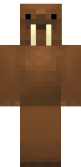 Walrus