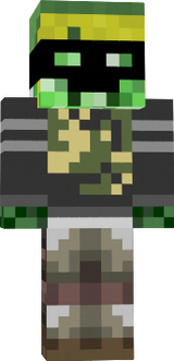 the ninja