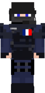 gign army force. france