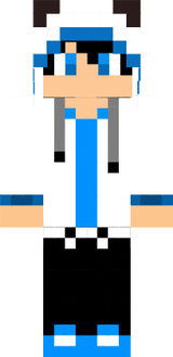 dsga