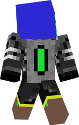 skin
