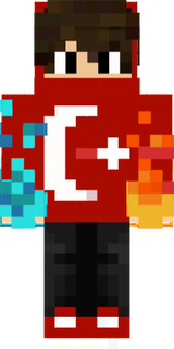 r3